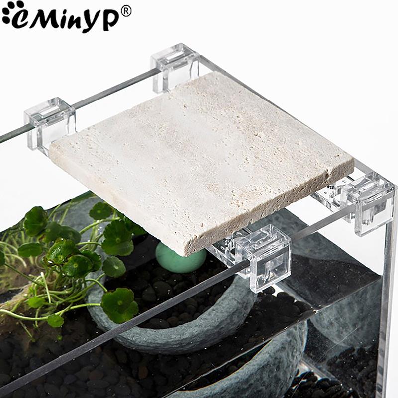 4Pcs Fish Tank Acrylic Clips f - Wall Anchor Plastic recensie en prijs