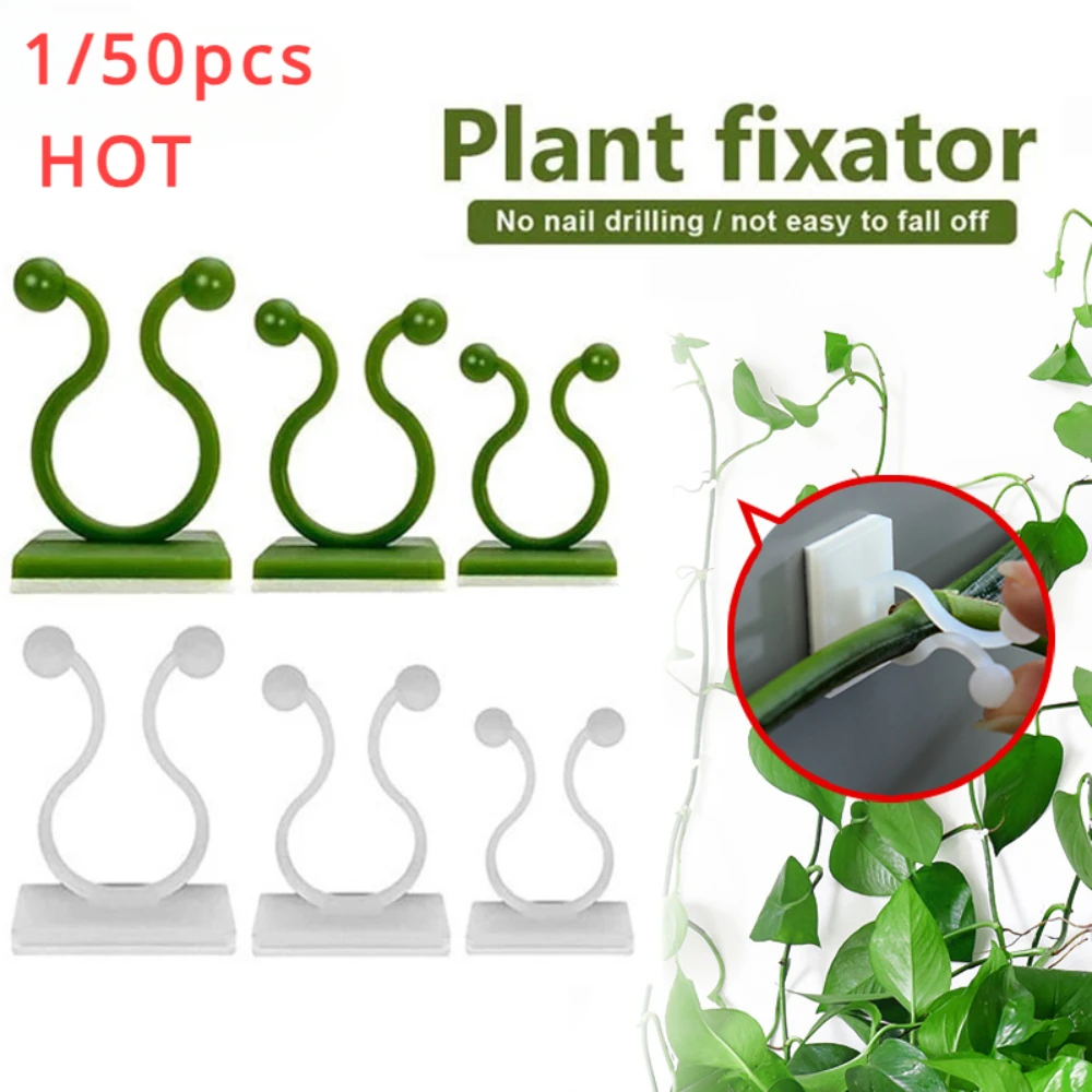1/30/50Pcs For Garden Accsesor - Wall Anchor Plastic recensie en prijs