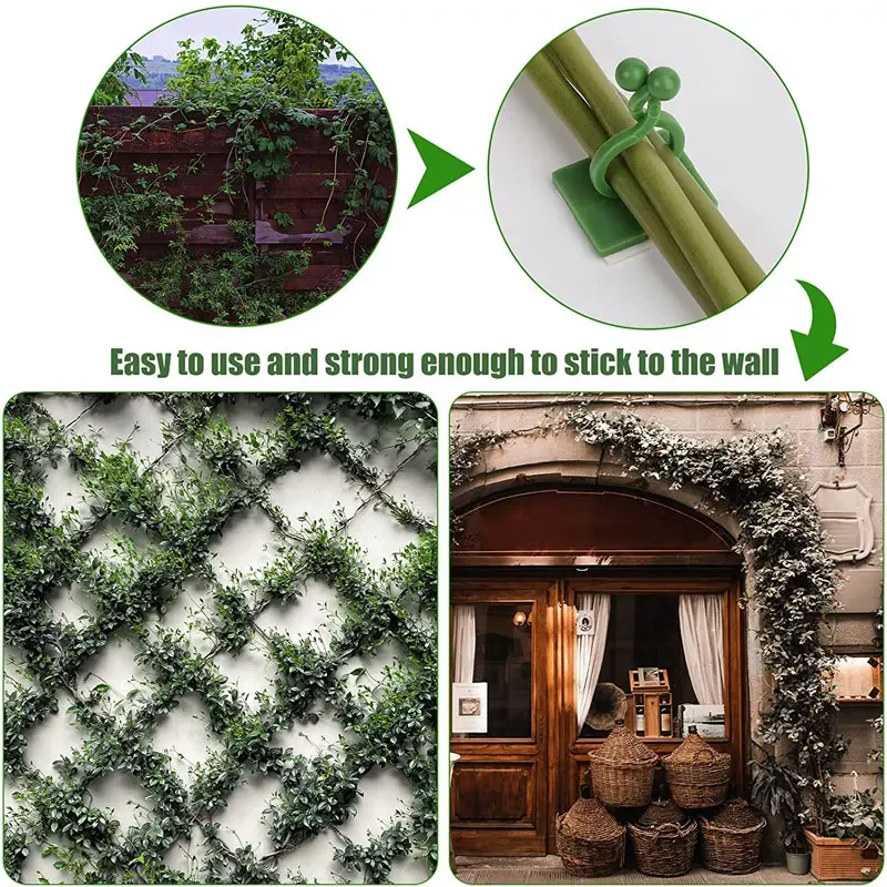 1/30/50Pcs For Garden Accsesor - Wall Anchor Plastic recensie en prijs