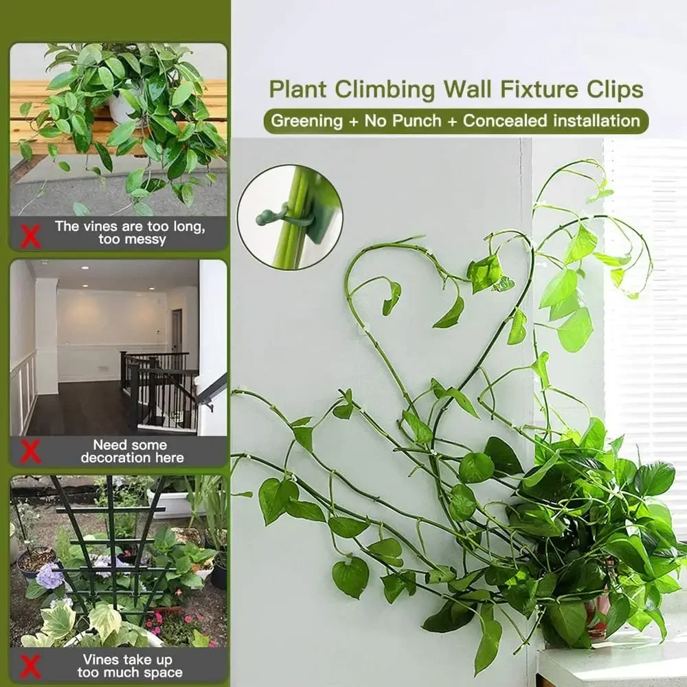 1/30/50Pcs For Garden Accsesor - Wall Anchor Plastic recensie en prijs